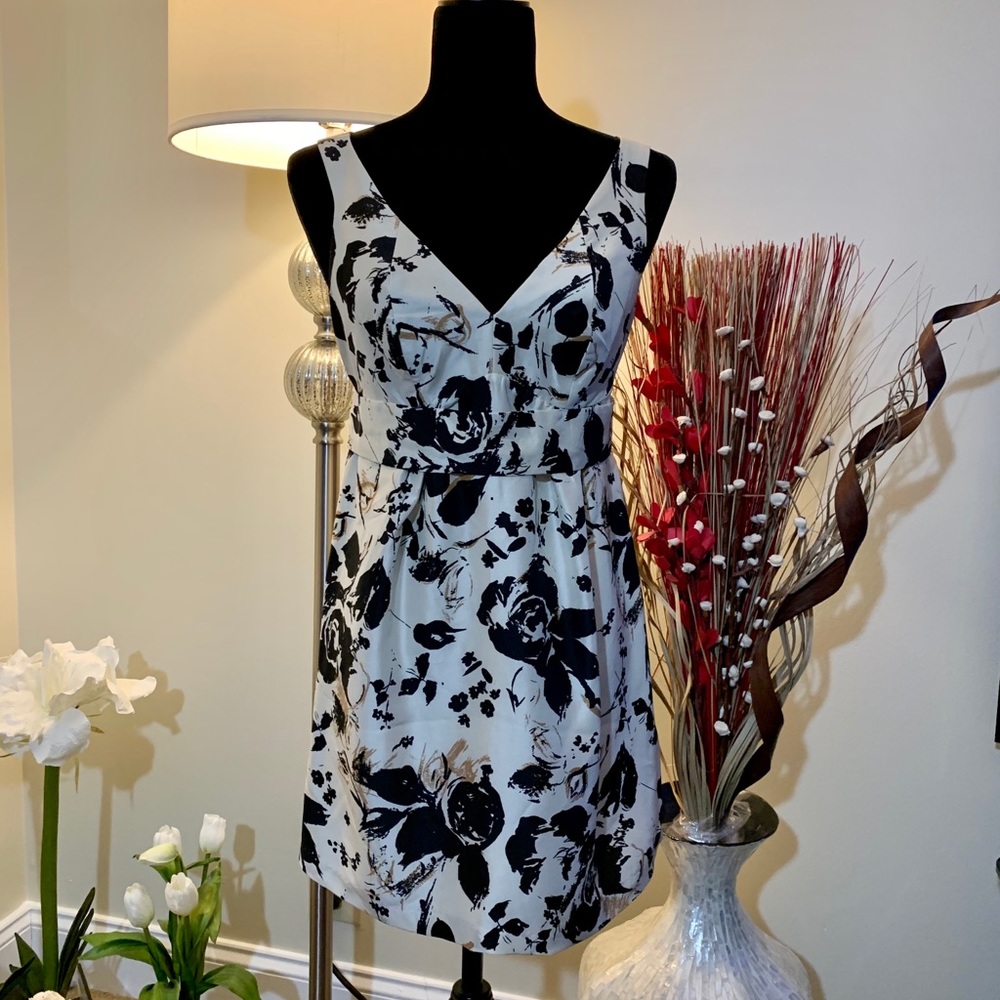 NWT The Limited Above the Knee Cocktail Dress